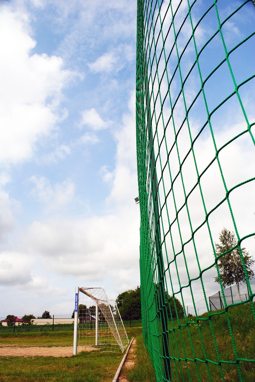 爱好者来说 爱好者来说