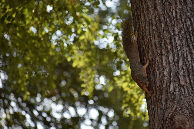 提供紧急物 提供紧急物