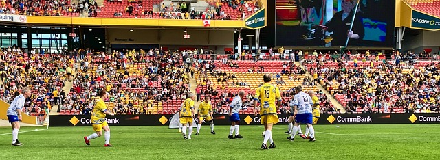 手提供了参 手提供了参