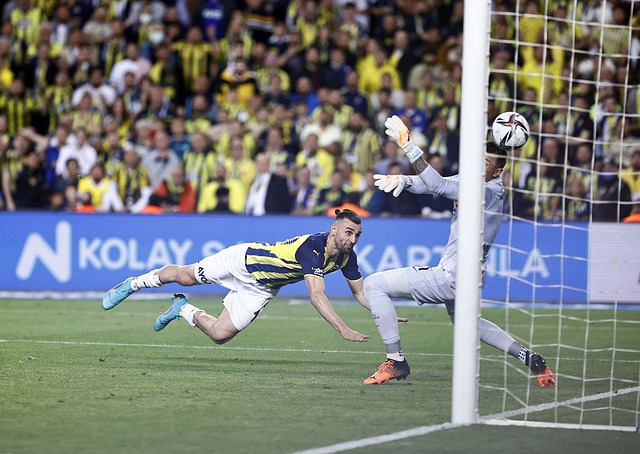 功将其转化 功将其转化