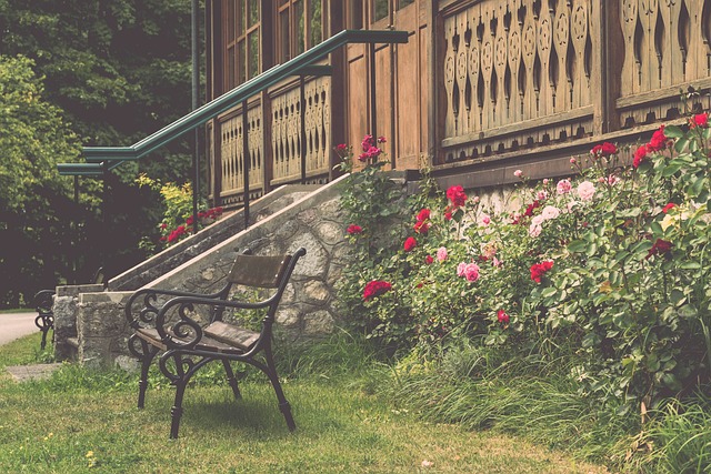 但他道出了 但他道出了