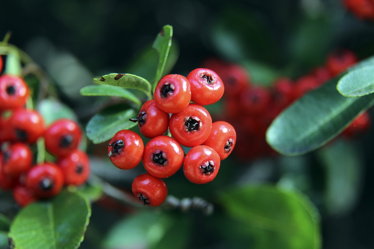 的大前锋之 的大前锋之