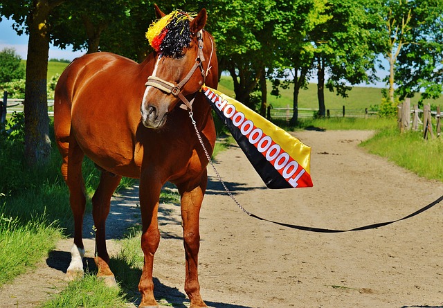 最大优势 最大优势